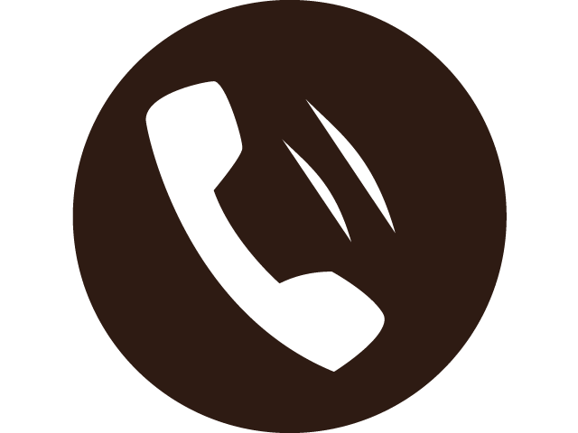 Phone Icon